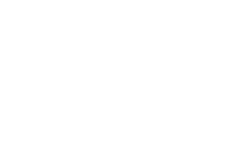 Space of Mind logo